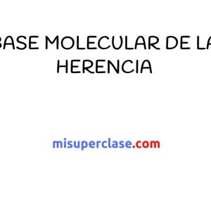 Base Molecular de la Herencia