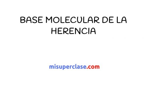 Base Molecular de la Herencia